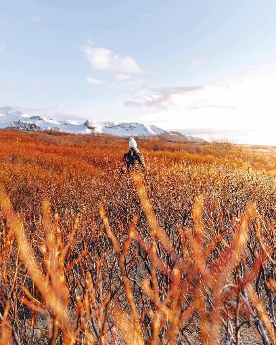 Vandretur til gletsjer udsigtsposten Sjonarnipa i Skaftafell, Island